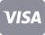 VISA Logo